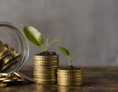 front-view-two-stacks-coins-with-jar-plants